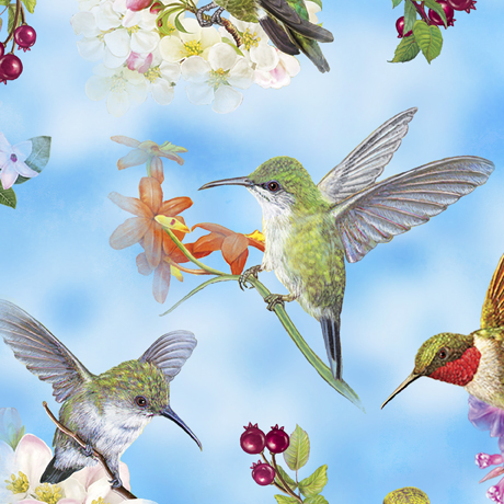 HUMMINGBIRD GARDEN       